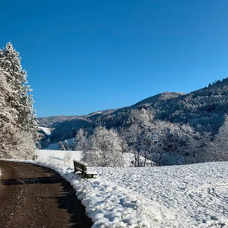Ferienwohnung Kleines Wiesental Apartman