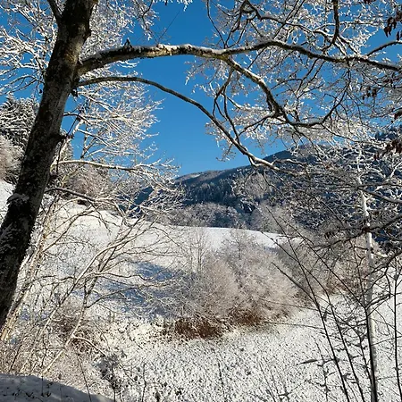 Ferienwohnung Kleines Wiesental *